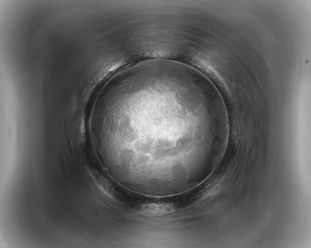 X0000087350251200704271424