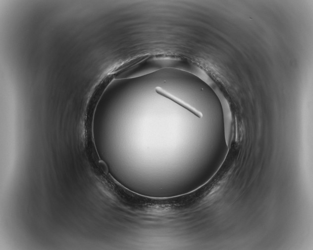 X0000087350252200704271424