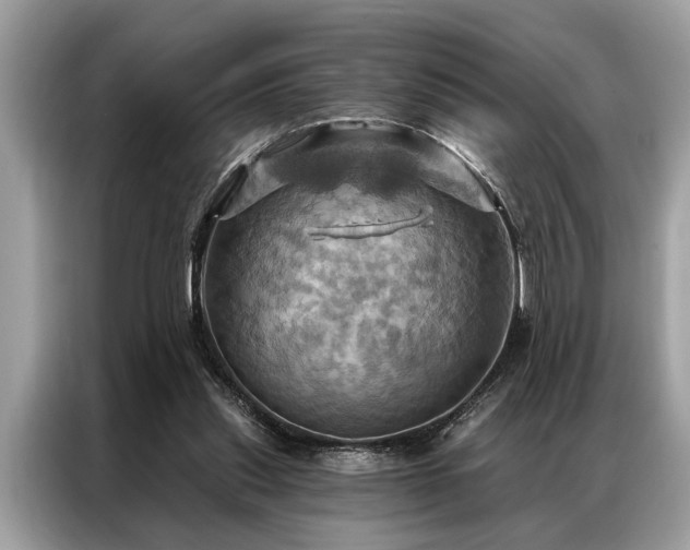 X0000087350253200704271424