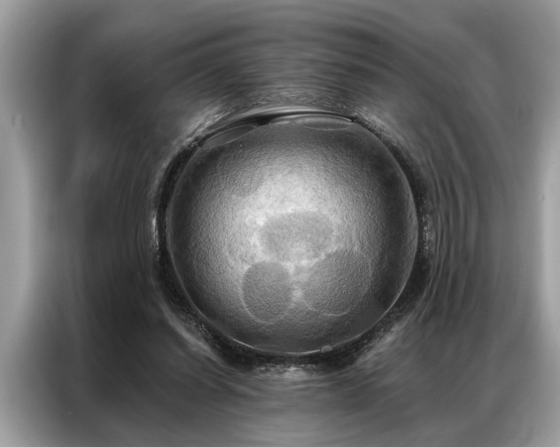 X0000087350254200704271424