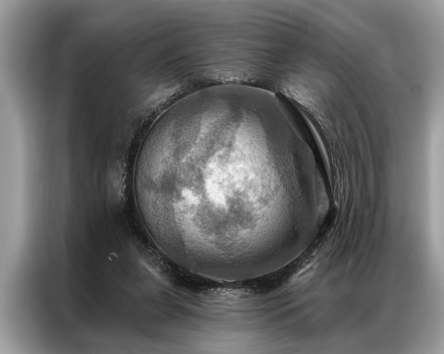 X0000087350255200704271424