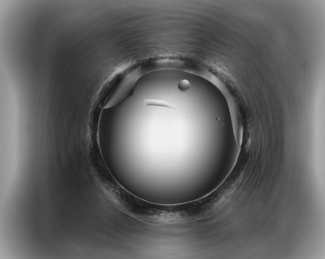 X0000087350256200704271424