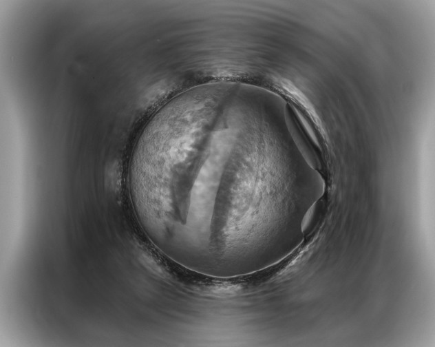 X0000087350257200704271424