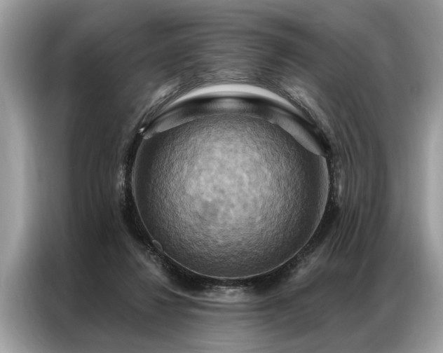 X0000087350260200704271424