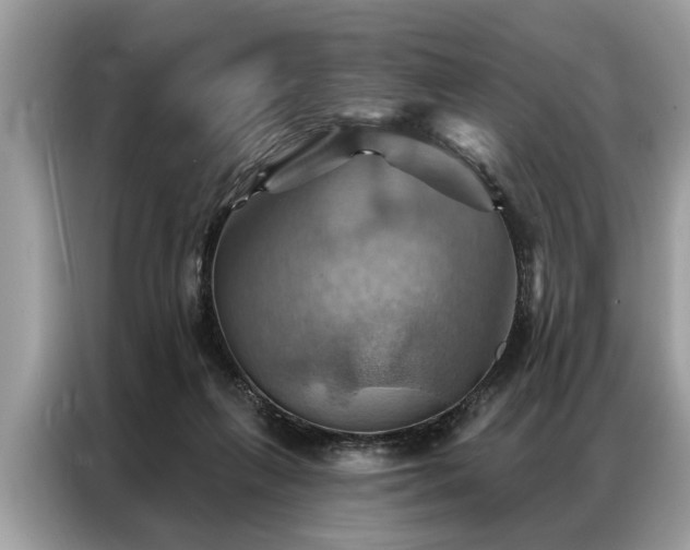 X0000087350263200704271424