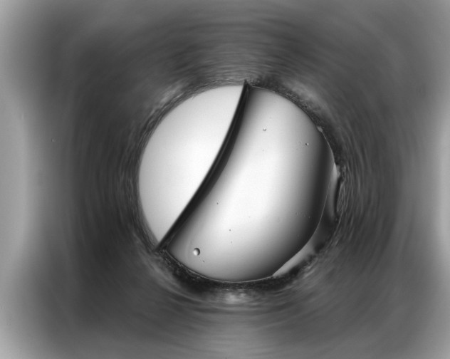 X0000087350264200704271424