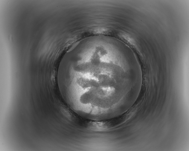 X0000087350265200704271424