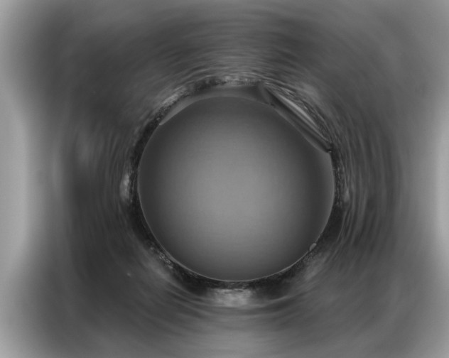 X0000087350266200704271424