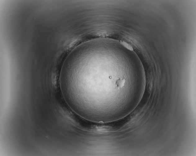 X0000087350268200704271424