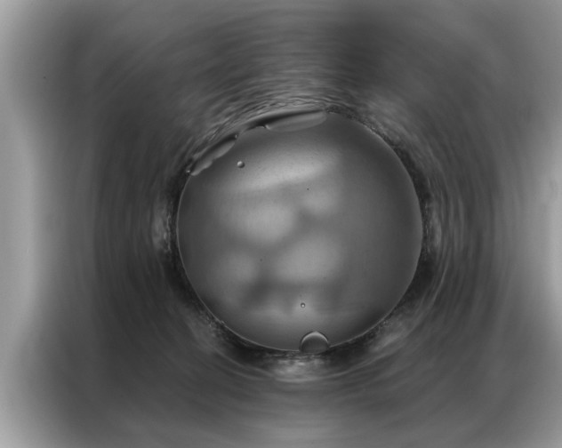 X0000087350274200704271425