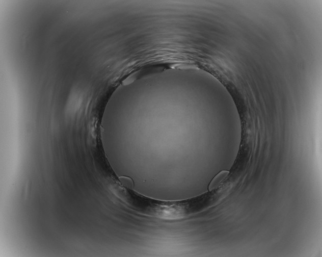 X0000087350275200704271425