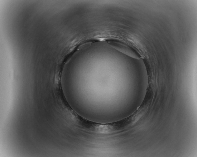 X0000087350277200704271425