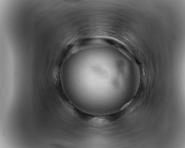X0000087350280200704271425