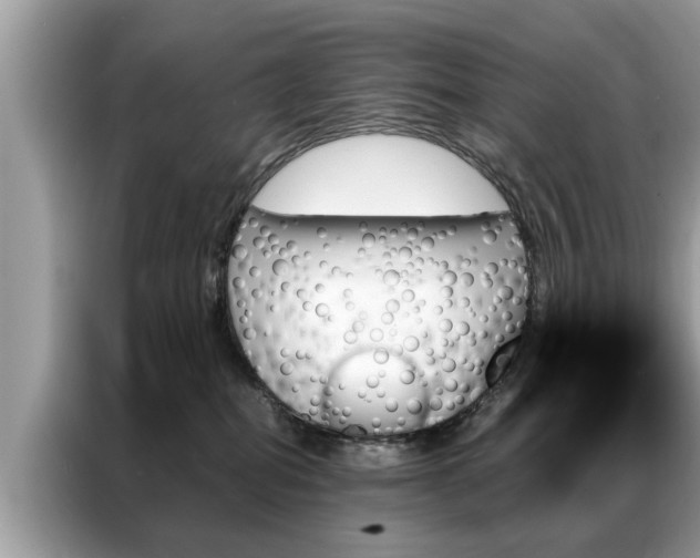 X0000087350282200704271425