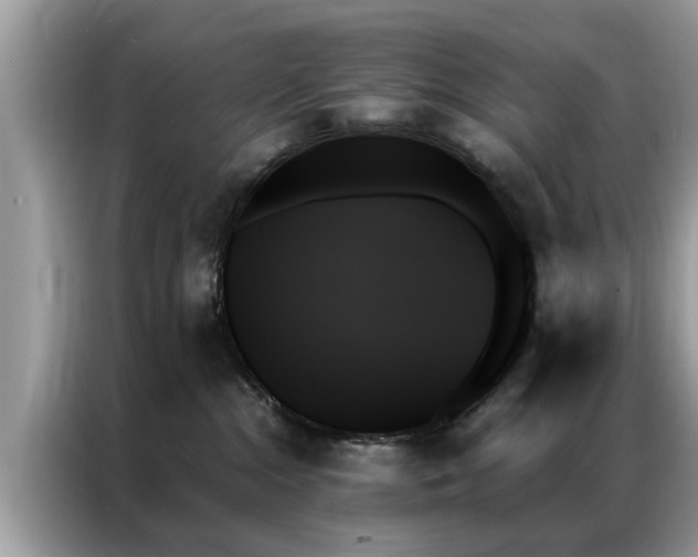 X0000087350284200704271425