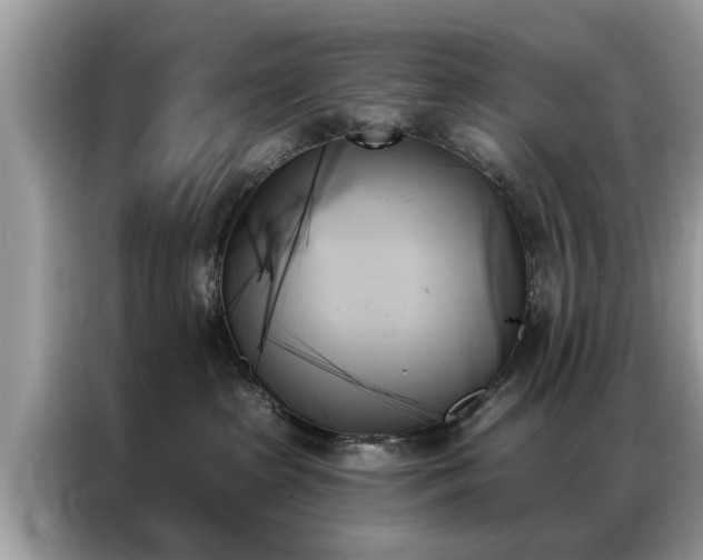 X0000087350285200704271425