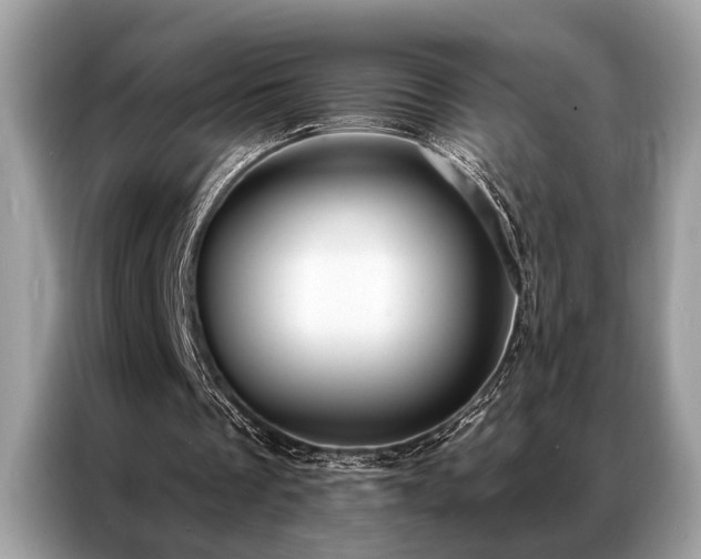 X0000087350289200704271424