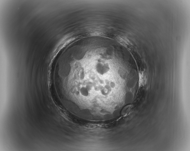 X0000087350291200704271424