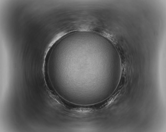 X0000087350292200704271424