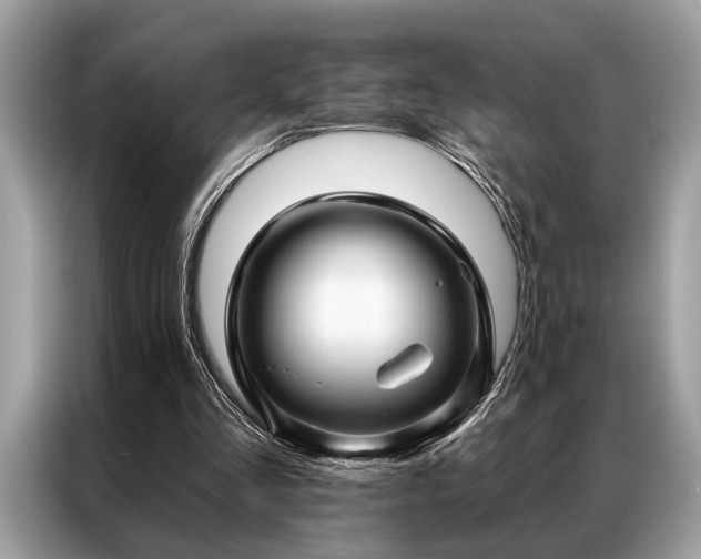 X0000087350293200704271424