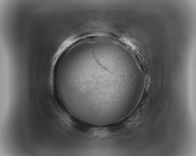 X0000087350296200704271424