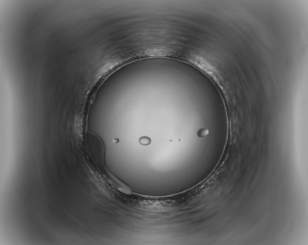 X0000087350297200704271424
