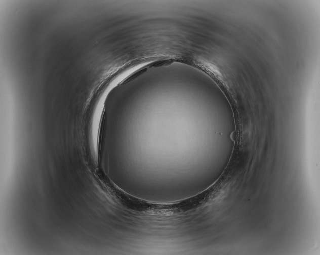X0000087350299200704271424