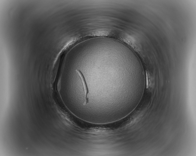 X0000087350300200704271424