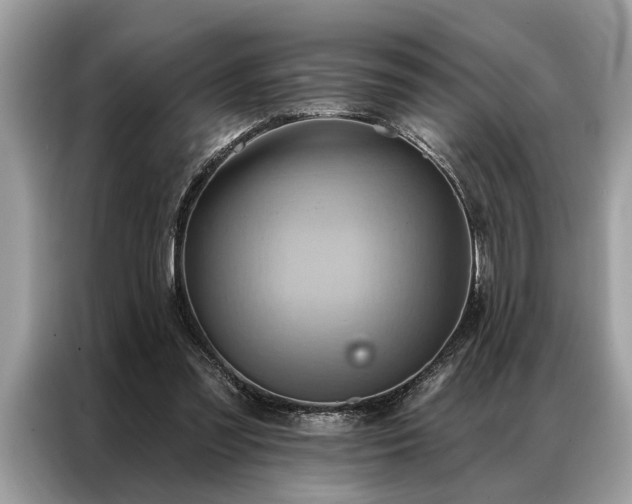 X0000087350301200704271424