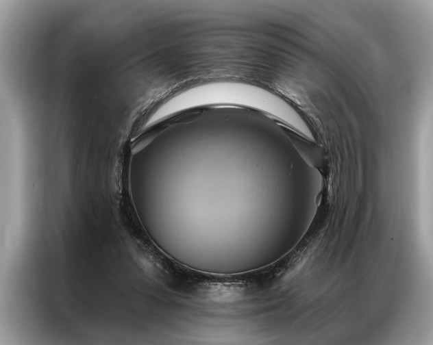 X0000087350303200704271424
