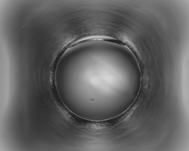 X0000087350305200704271424