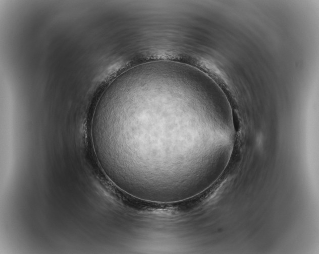 X0000087350306200704271424