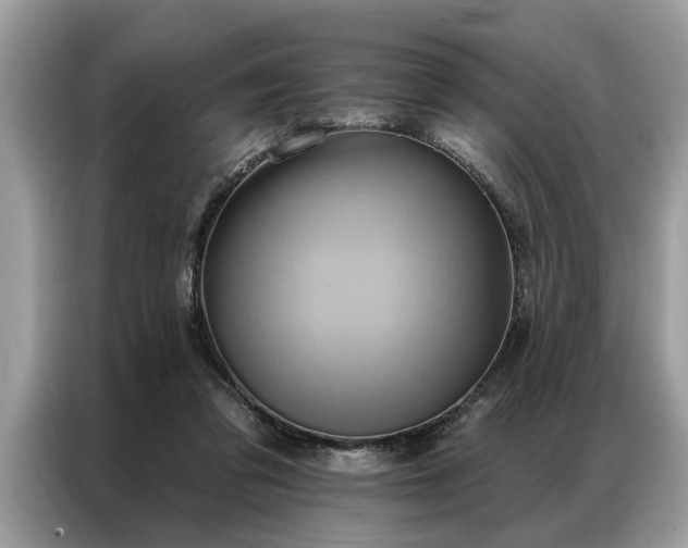 X0000087350309200704271424