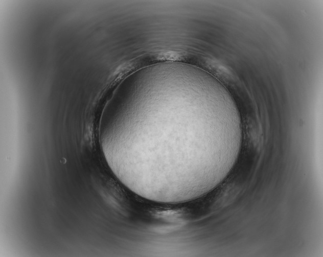 X0000087350312200704271424