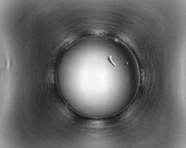 X0000087350313200704271424