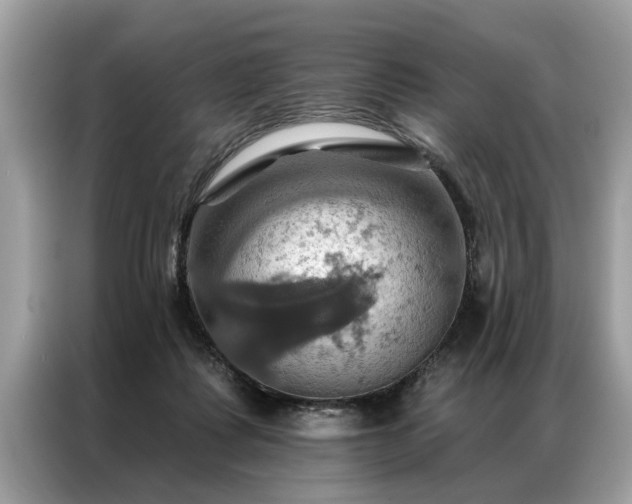 X0000087350315200704271424
