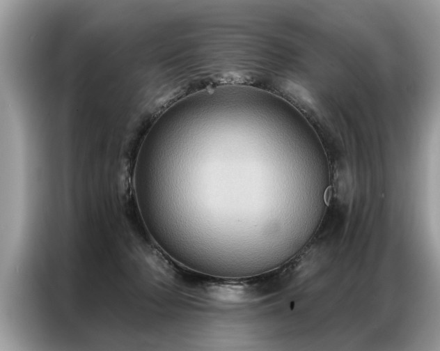 X0000087350318200704271424