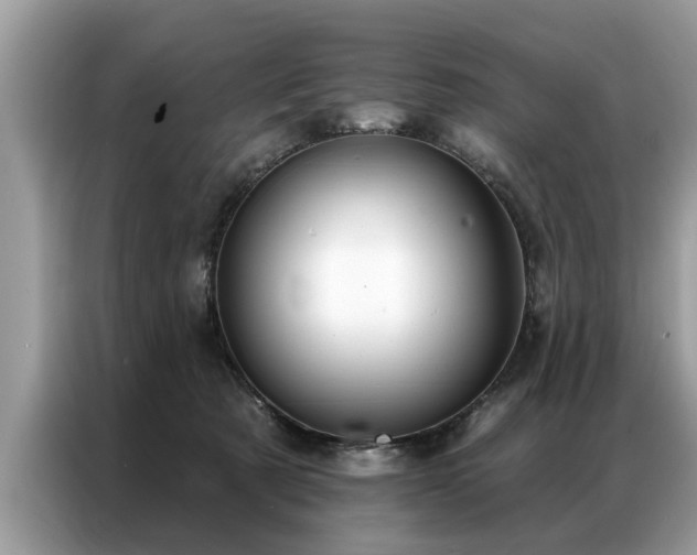 X0000087350321200704271424