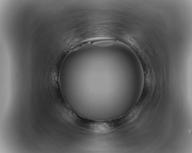 X0000087350322200704271424