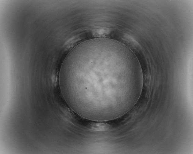 X0000087350324200704271424
