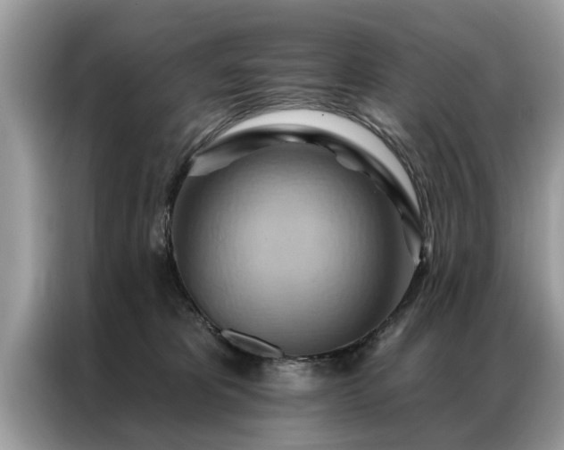 X0000087350325200704271424