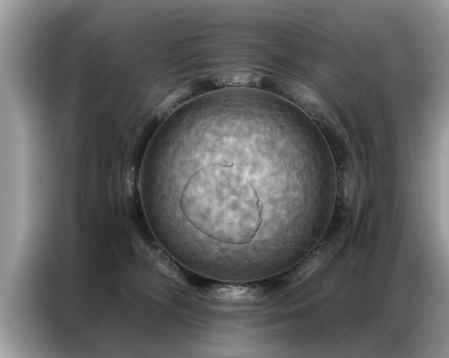 X0000087350326200704271424