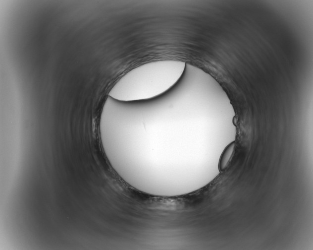 X0000087350330200704271424