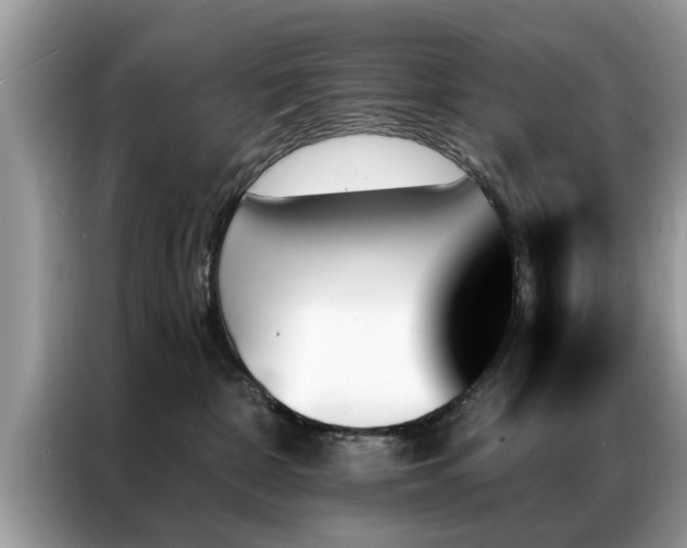 X0000087350332200704271424