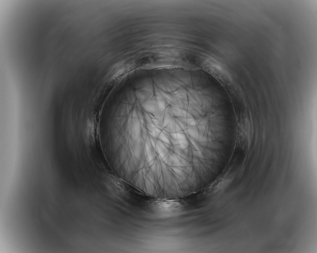 X0000087350333200704271424