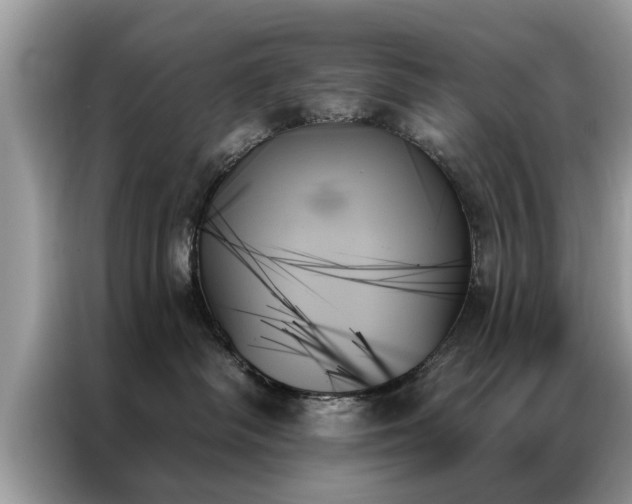 X0000087350334200704271424