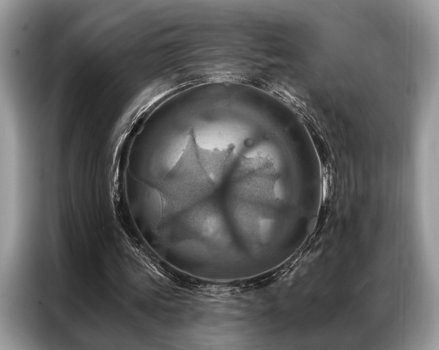 X0000087350339200704271423