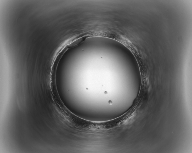 X0000087350340200704271423