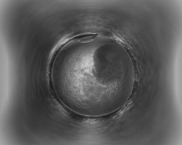 X0000087350341200704271423