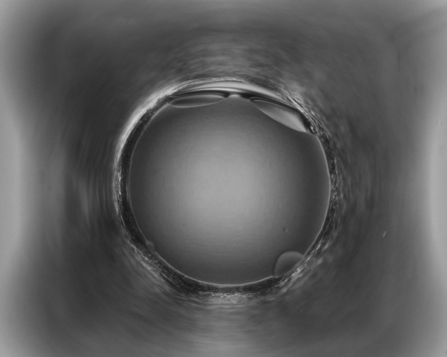 X0000087350342200704271423